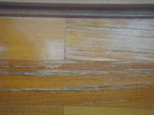 Termite Affected Flooring