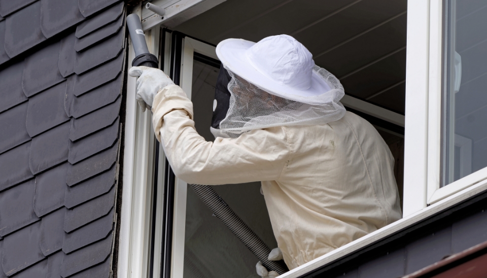 Pest Control