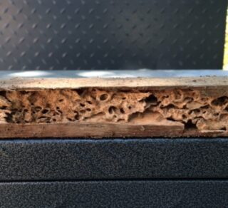 Termite Hotspots