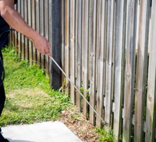 Termite Inspector