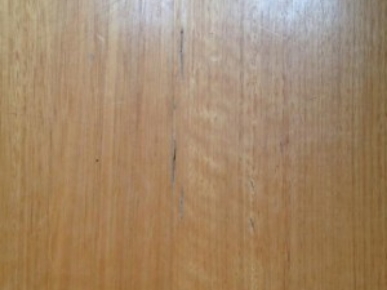 Termites Inspection Melbourne