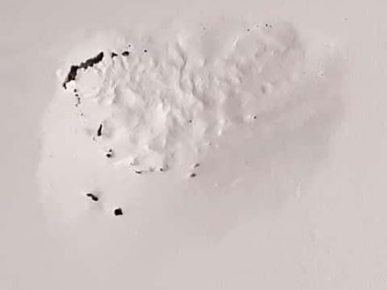 termite-activity-in-townhouse