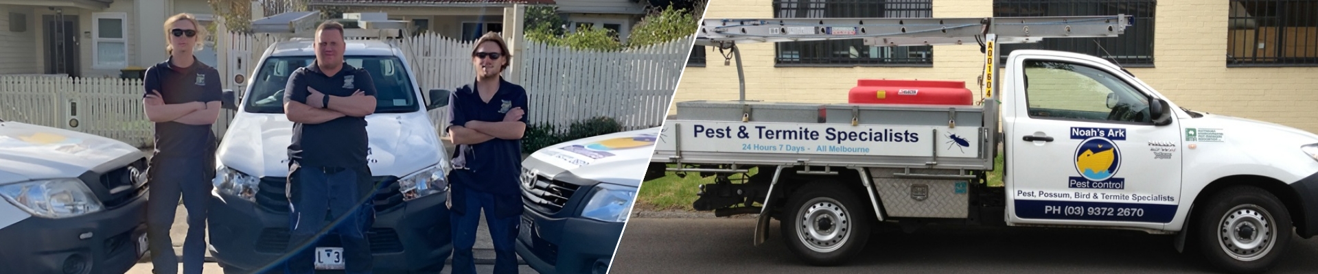 Termite Specialists