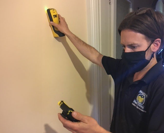 Pest Control Termite Expert