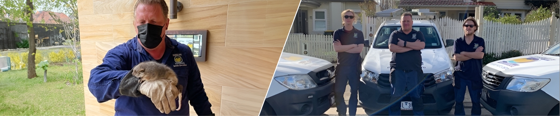 Termite Experts