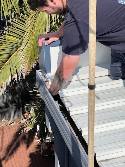 Solar Panel Bird Proofing