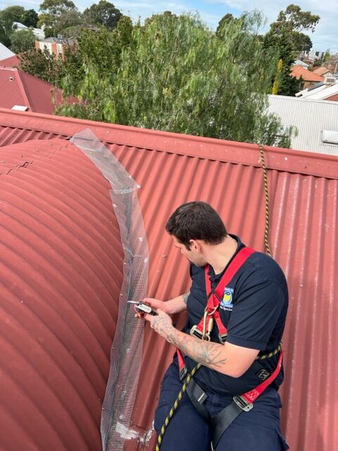 Solar Panel Bird Proofing
