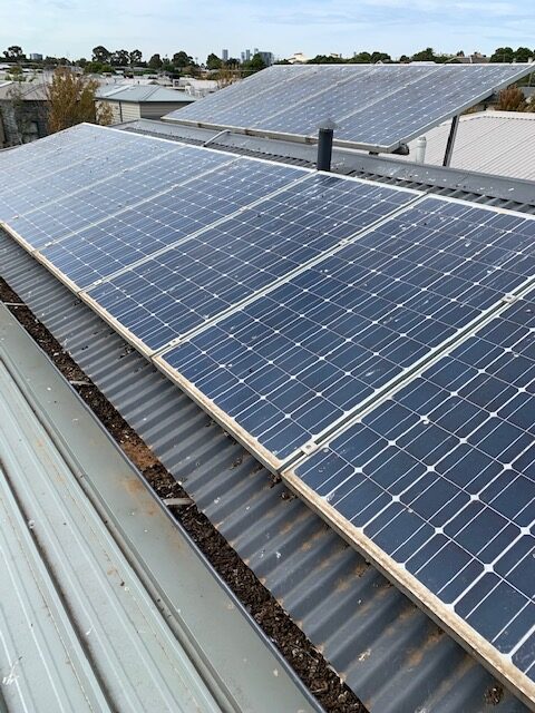 Solar Panel Bird Proofing