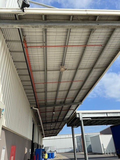 Solar Panel Bird Proofing
