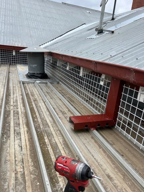 Solar Panel Bird Proofing