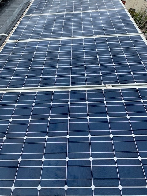 Solar Panel Bird Proofing