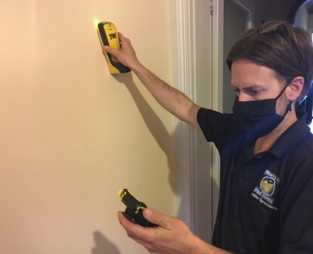 Pest Control Termite Expert