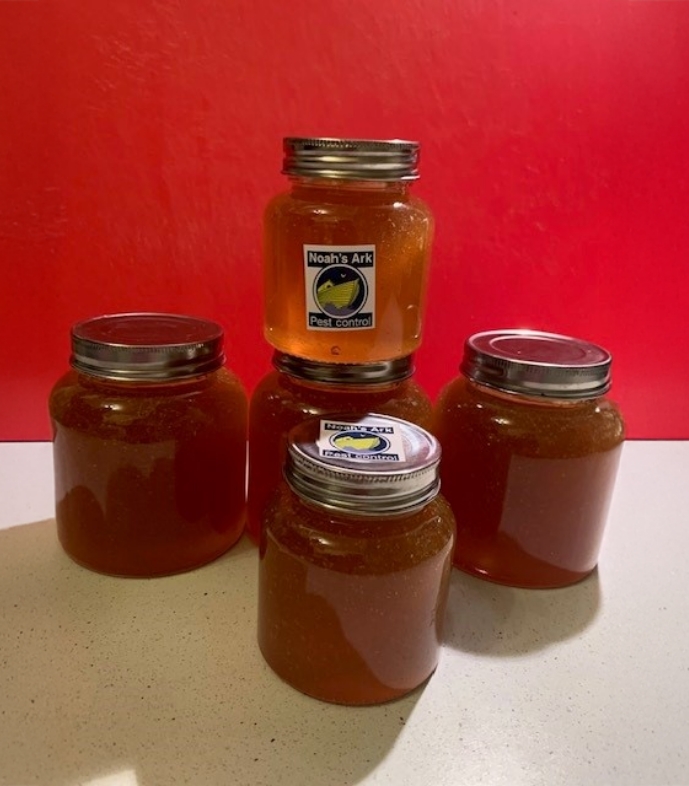 NoahsArkHoney