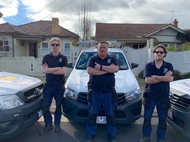 Termite Experts